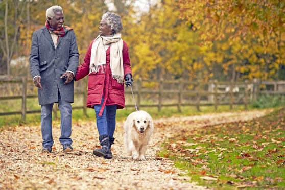 A couple walking their dog through the park during fall.