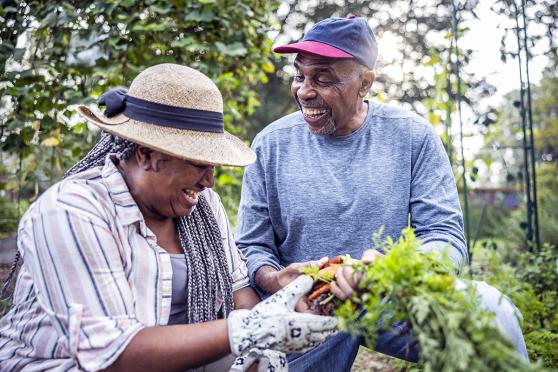 Couple gardening 