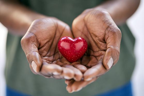 Two hands holding a heart shaped object. 