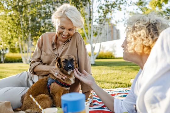 Woman smiling playing with dog