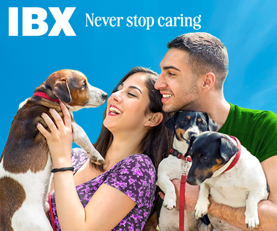 A smiling couple holding their dogs.